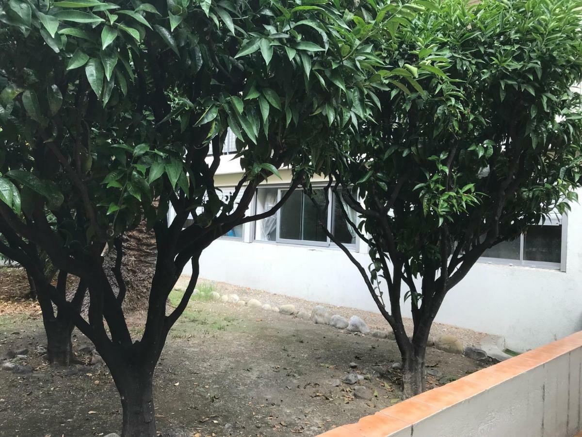 Apartment Les Clementines Nizza